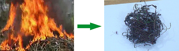 焚燒法.jpg 焚燒法.jpg