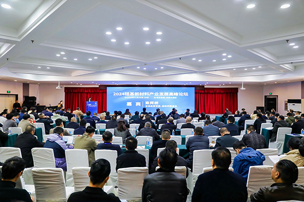 頂立科技參加硅基新材料高峰論壇,分享高純石英制備熱工裝備最新技術 (2).jpg 頂立科技參加硅基新材料高峰論壇,分享高純石英制備熱工裝備最新技術 (2).jpg