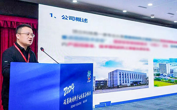 頂立科技參加硅基新材料高峰論壇，分享高純石英制備熱工裝備最新技術