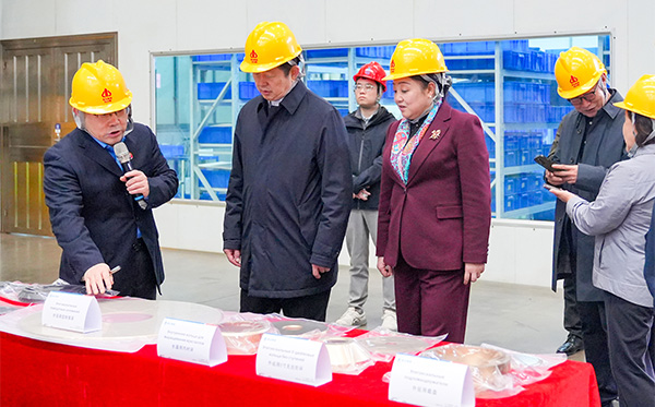 民革中央副主席谷振春一行蒞臨頂立科技調研 (4).jpg 民革中央副主席谷振春一行蒞臨頂立科技調研 (4).jpg